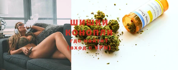 стаф Пестово