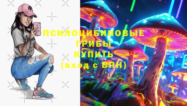 прущий лед Белокуриха