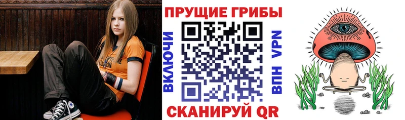 Псилоцибиновые грибы MAGIC MUSHROOMS что такое Билибино